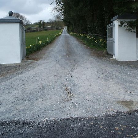 Grove Farm House Inistioge Esterno foto